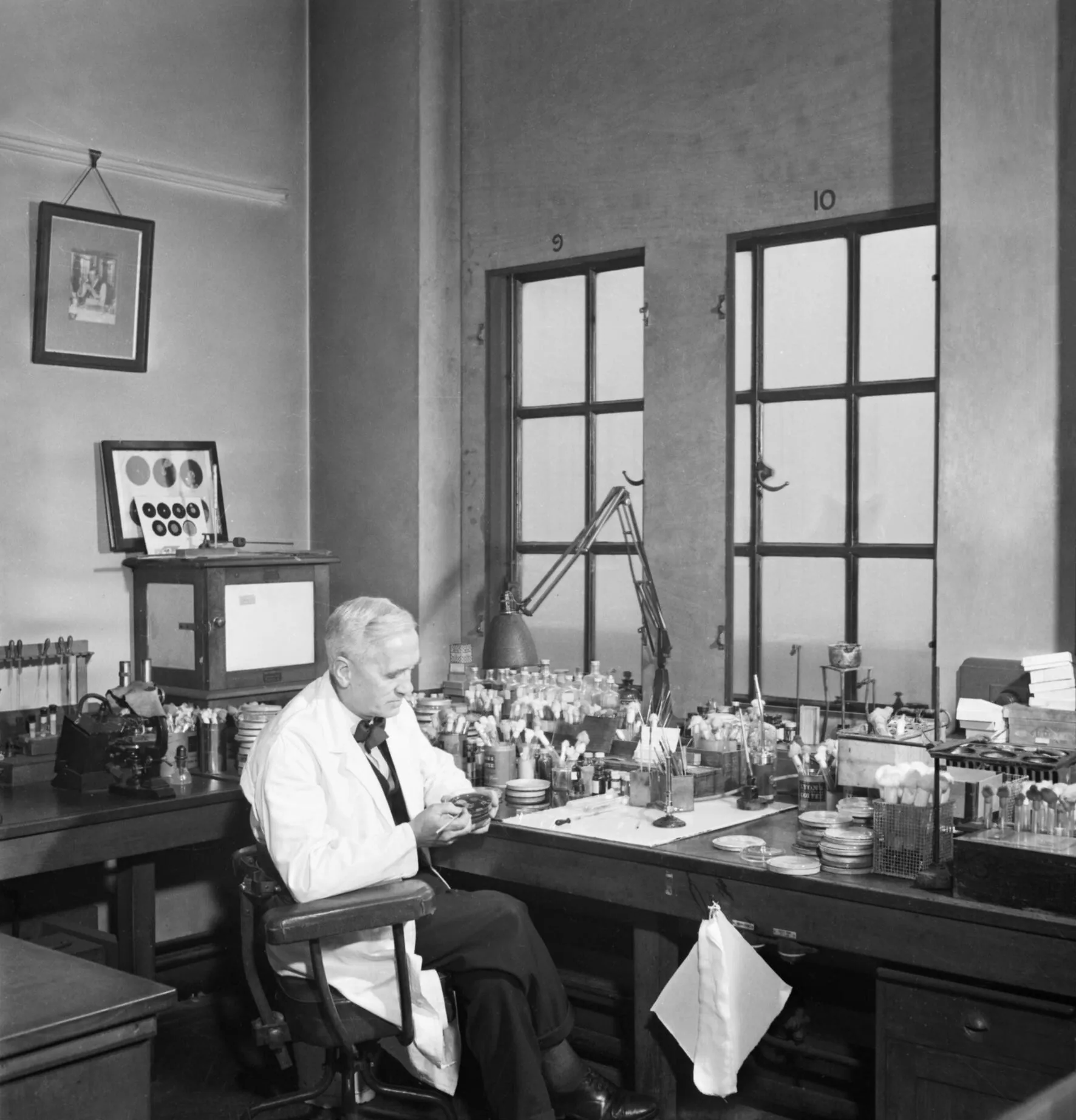 Professor Alexander Fleming at work in his laboratory